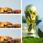 World Cup: Quarterfinals Recap, Semifinals Predictions